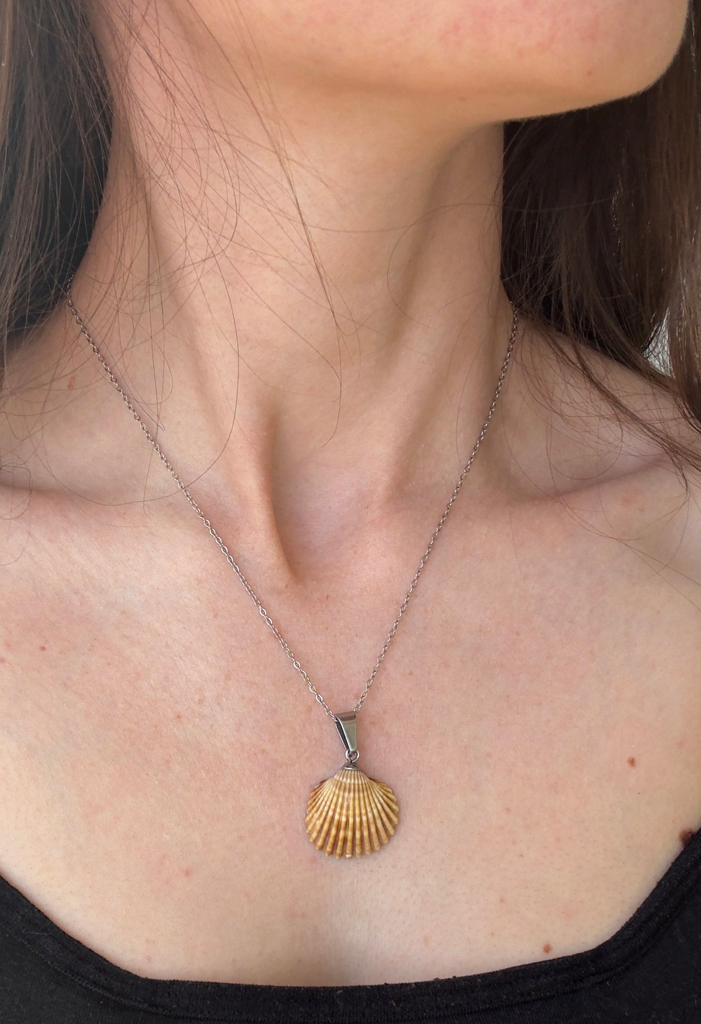 Shell pendants with the sea inside