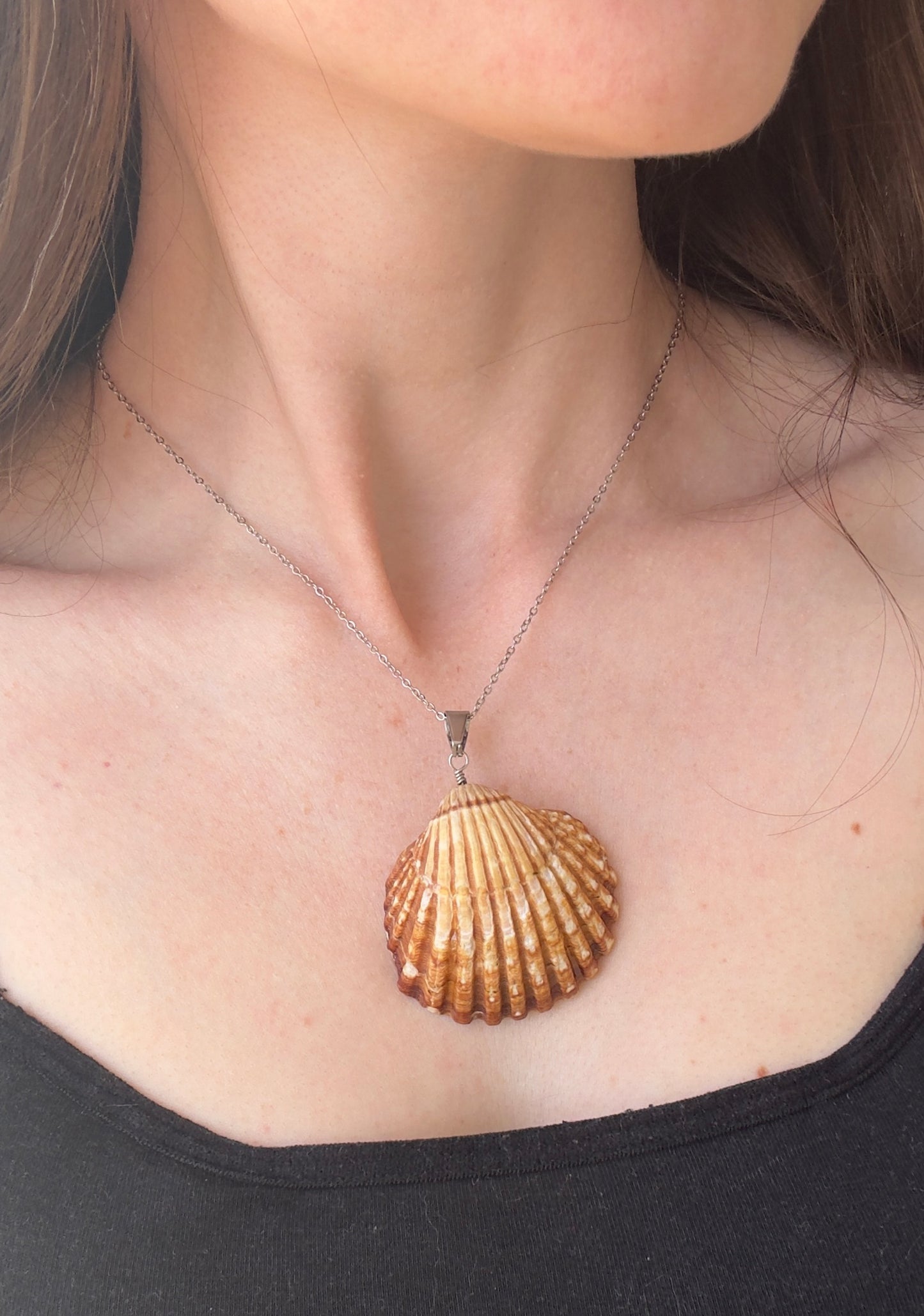 Shell pendants with the sea inside
