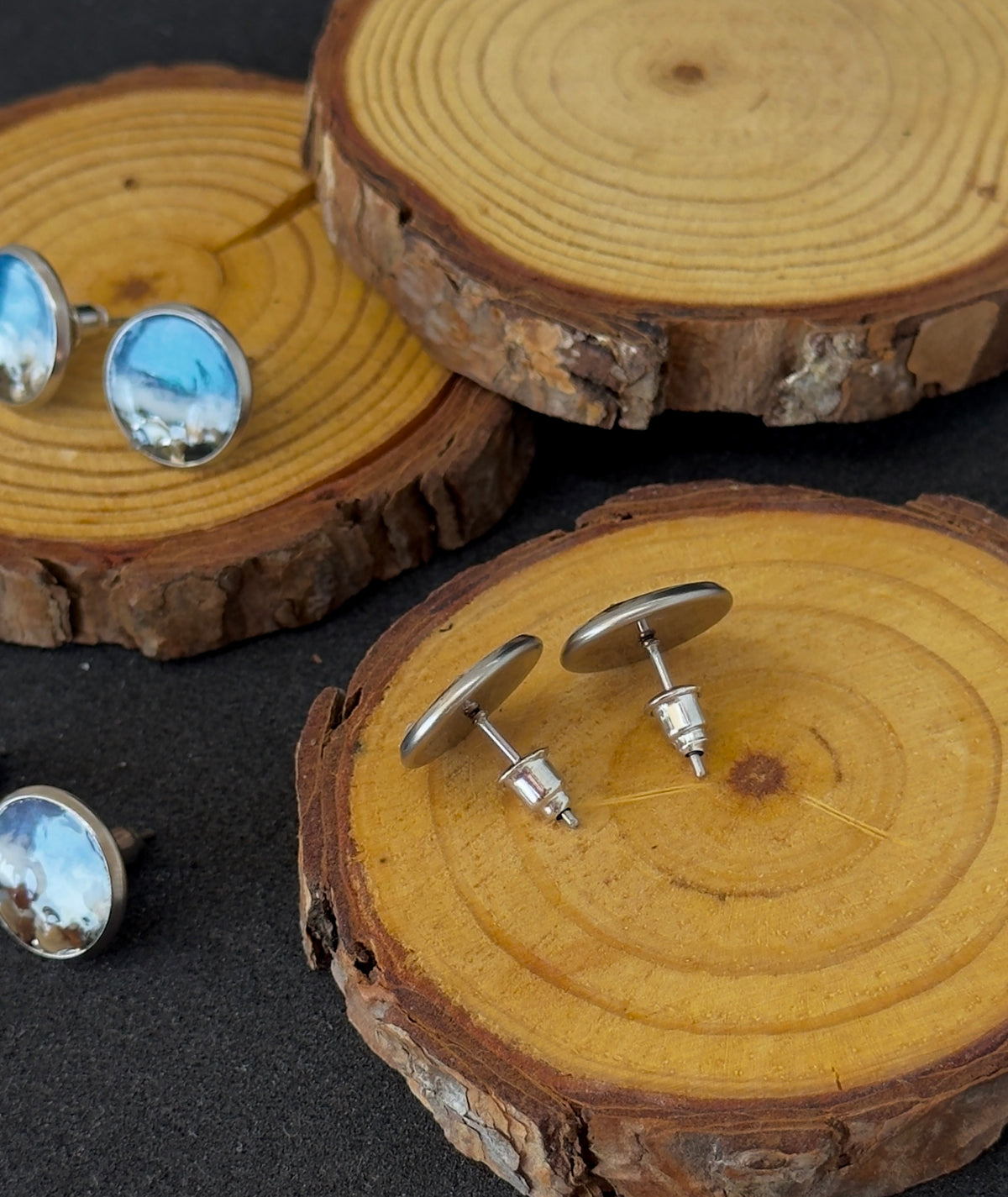 "El Mar" Stainless steel earrings with marine motifs