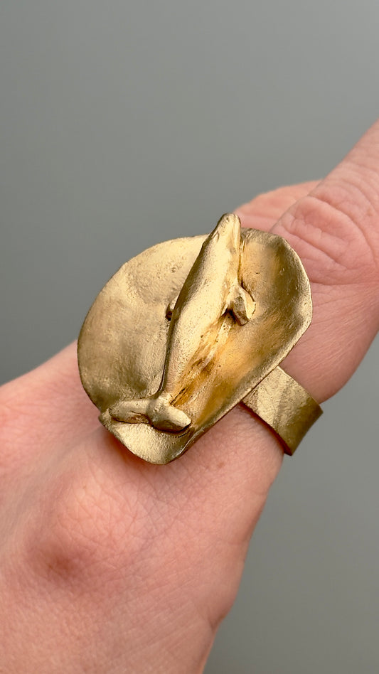 Anillo de bronce con una ballena