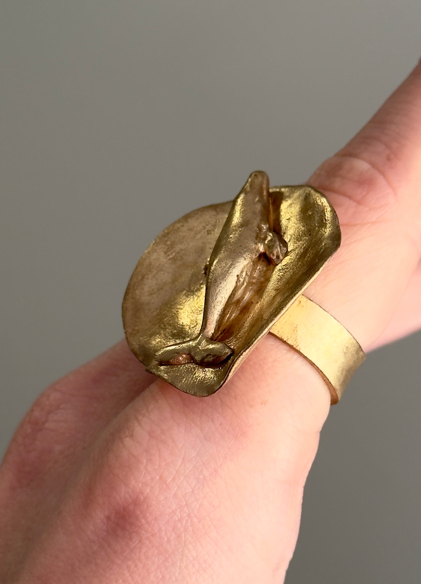 Bronze ring with a whale